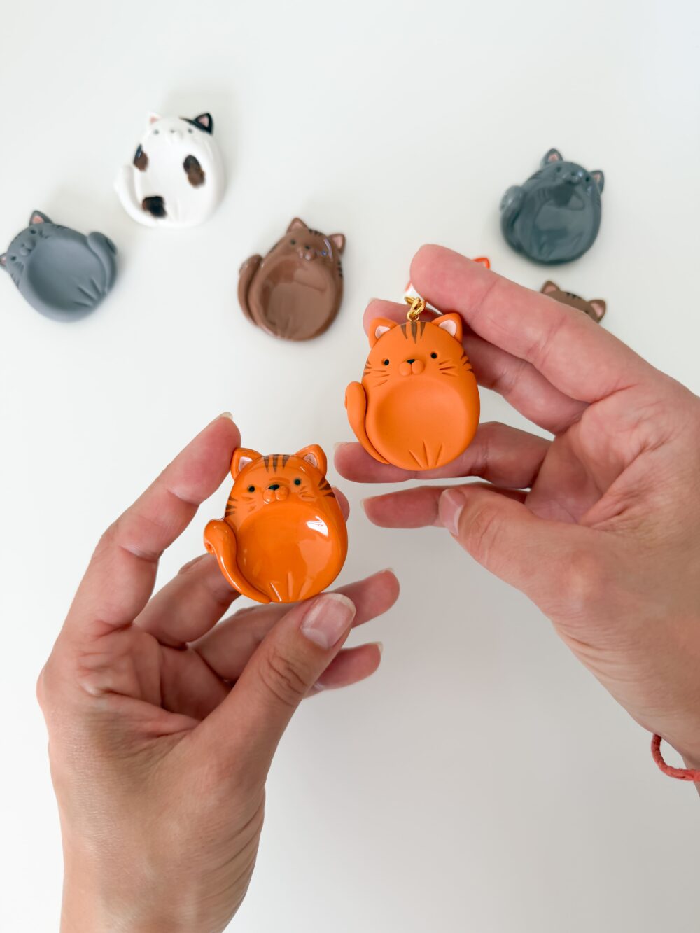 Le Calminoux Chat (Précommande)